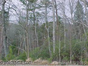 53 Woodland Circle, Lake Lure, NC 28746