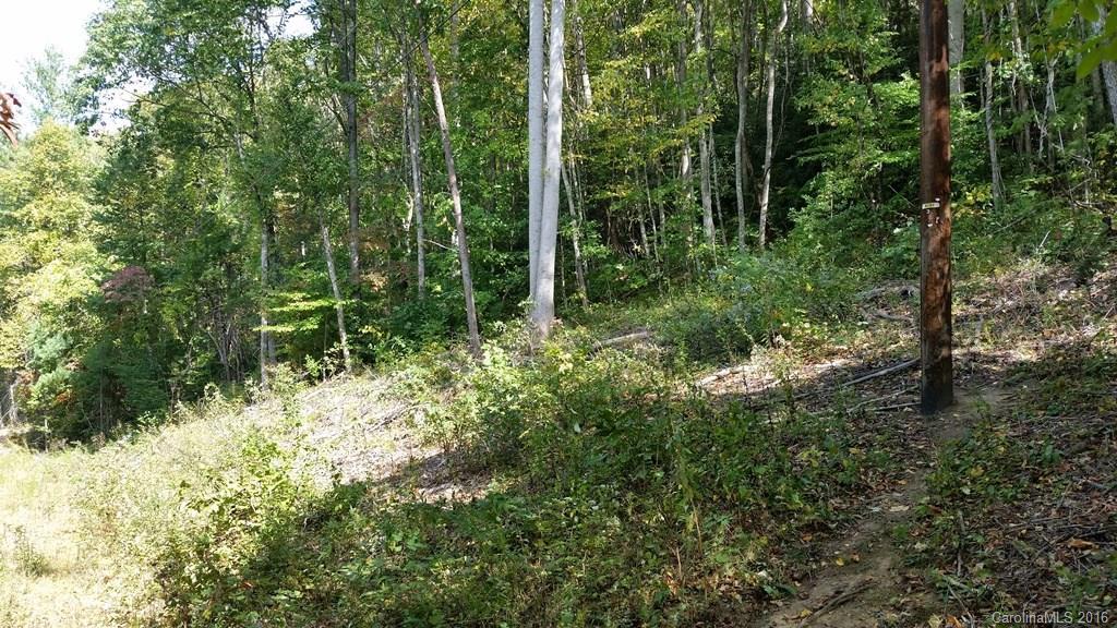 135 Black Gum Dr., Asheville, NC 28805