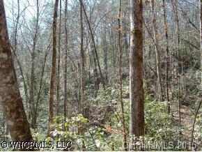 000 Buffalo Creek Road, Lake Lure, NC 28746