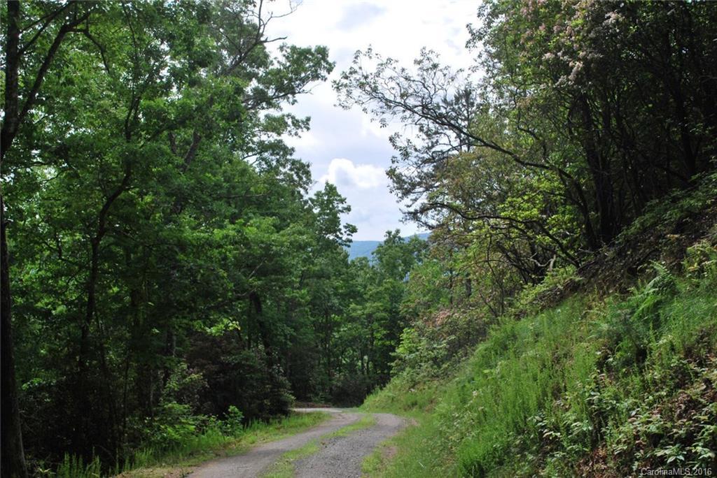 99 Duff Cove Rd., Brevard, NC 28712