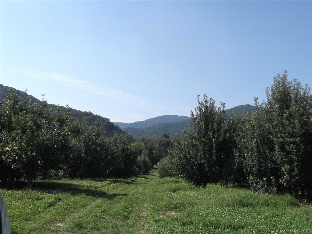 000 Green Mountain Rd., Hendersonville, NC 28792