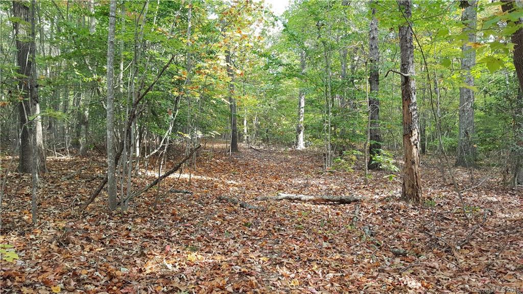 Near 1844 Mollys Backbone Rd., Sherrills Ford, NC 28673