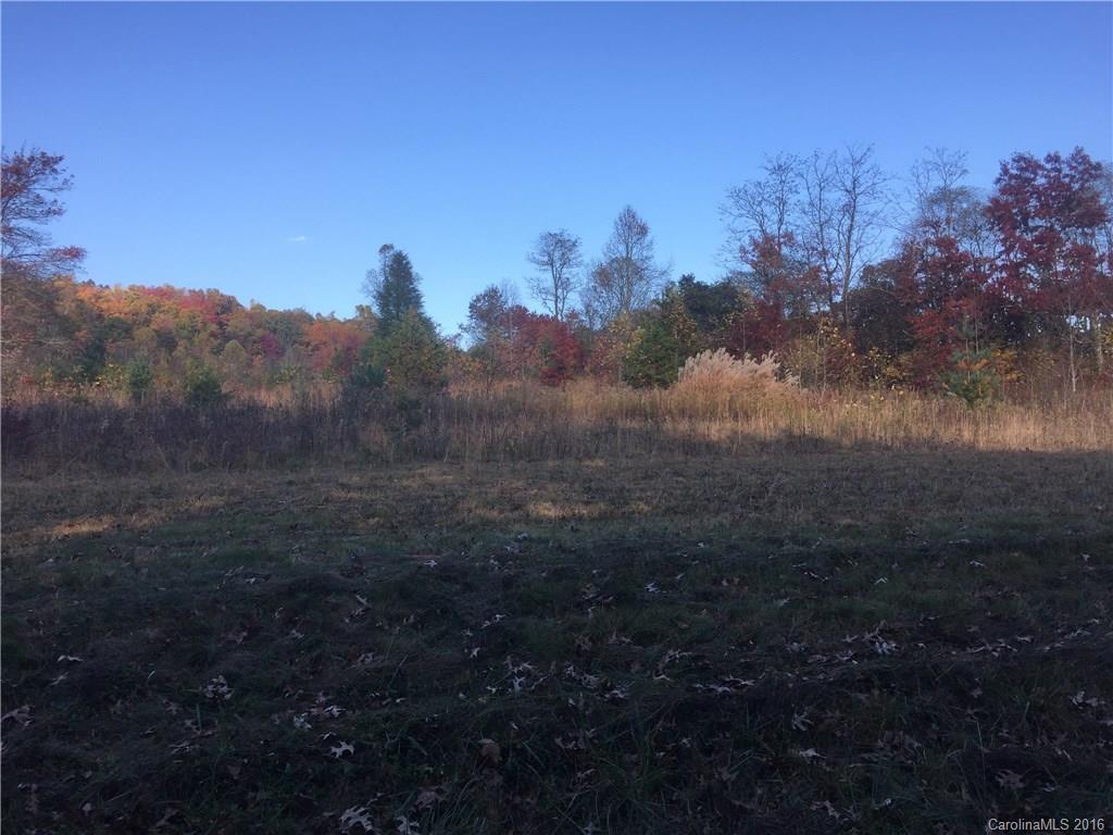 TBD Bald Mountain Church Rd., Black Mountain, NC 28711