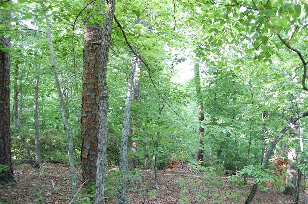 Lot 326 Osprey Way #326, Lake Lure, NC 28746
