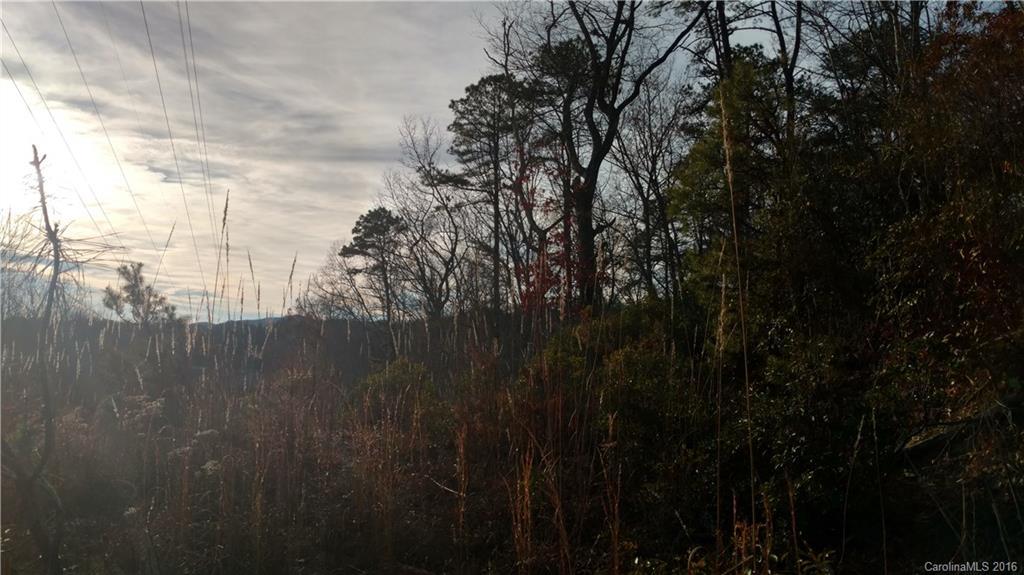 Lot 17 Arnie Dr. #17, Hendersonville, NC 28792