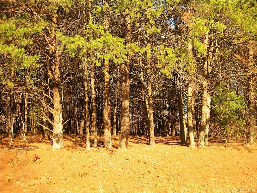 00 Jeanette Dr. #15, Ironton Township, NC 28092