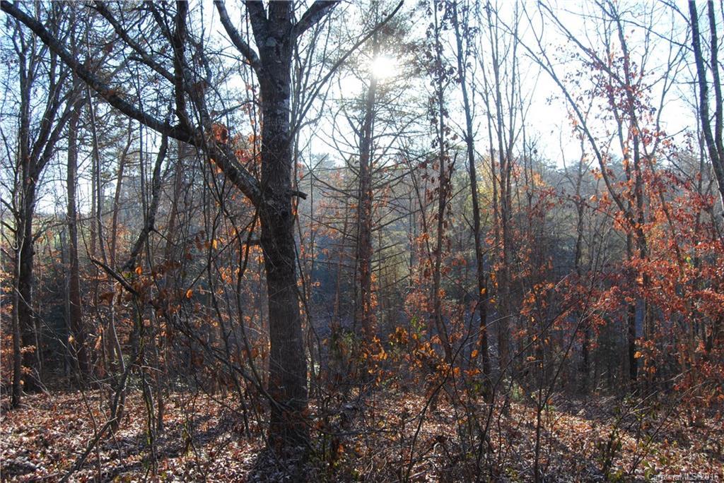 00 Old Lion Rd., Statesville, NC 28625