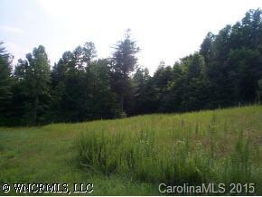 41 Whites Lake Boulevard, Saluda, NC 28773