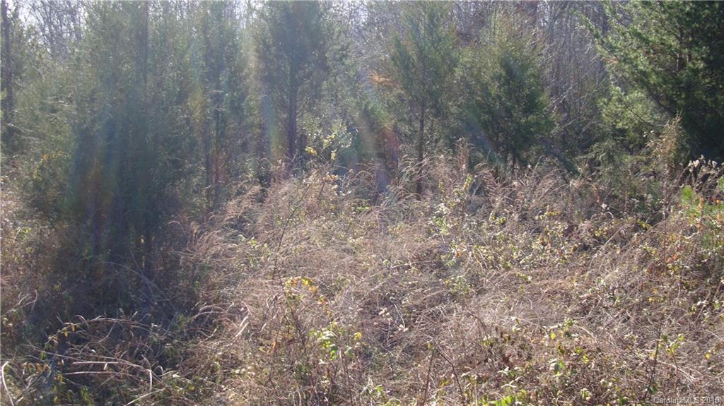 0000 Deer Creek Dr., Lincolnton, NC 28092