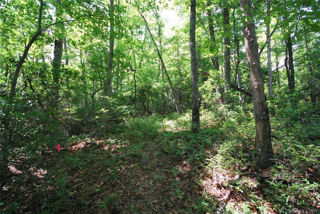 13 Ferndale None, Pisgah Forest, NC 28712