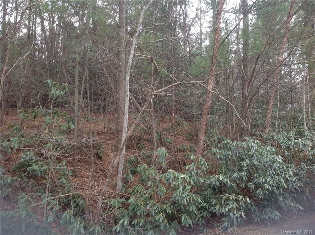 999 Surrey Run, Asheville, NC 28803
