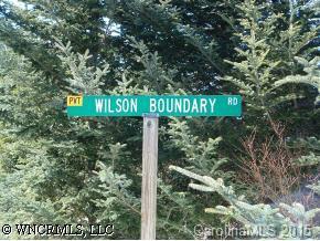 999999 Wilson Boundary Rd., Burnsville, NC 28714