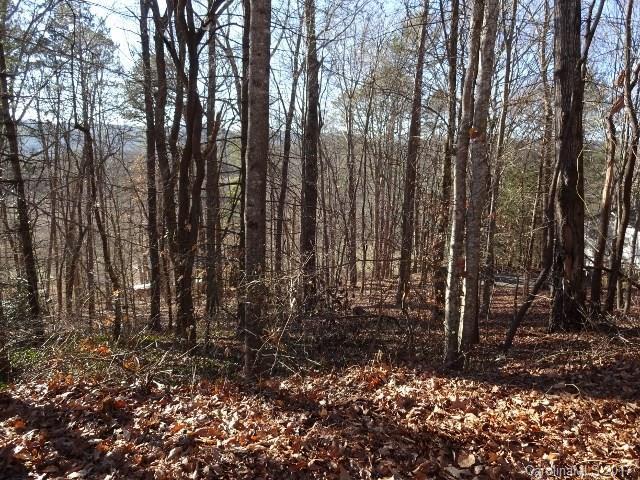 Scarlet Oaks Ln., Hendersonville, NC 28792