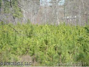 00 Erwin Off Mountain Creek Rd., Rutherfordton, NC 28139