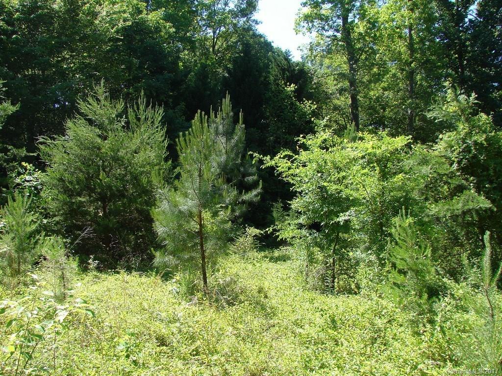 Lot 75/76 Brook Cir., Salisbury, NC 28147