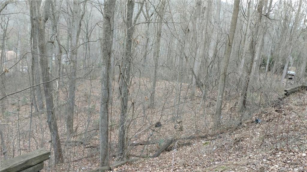 0000 Cedar Mountain Rd. #A & B, Asheville, NC 28803