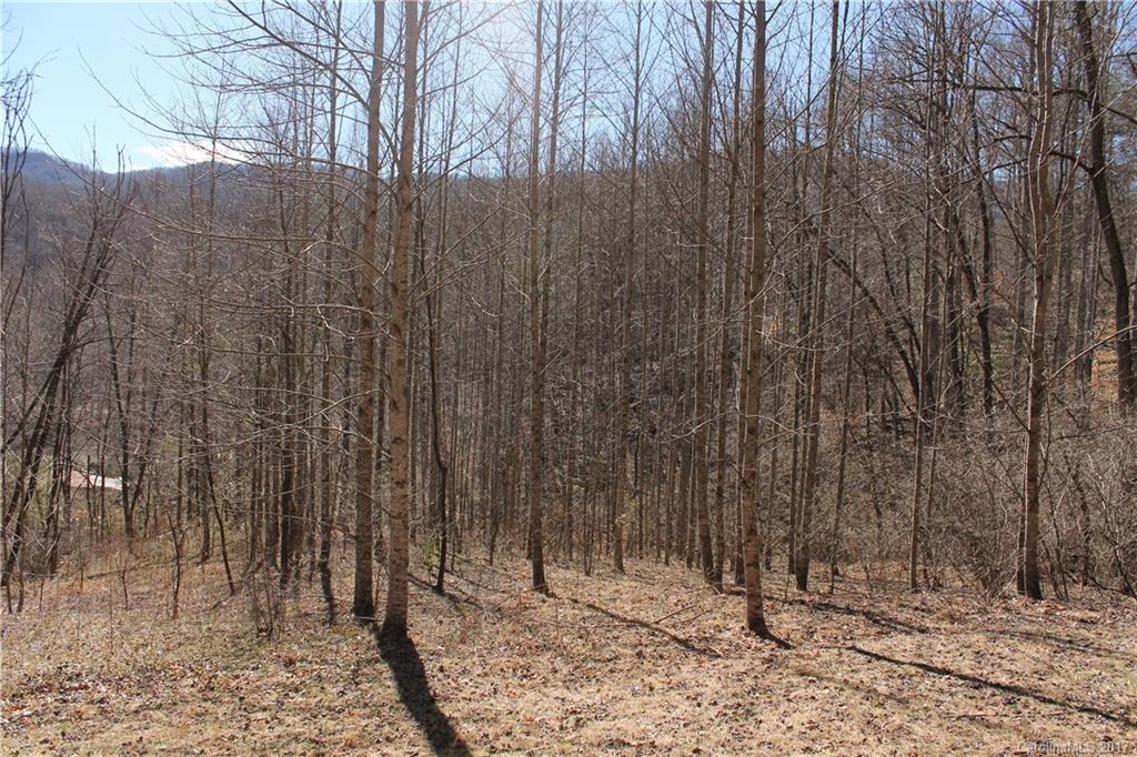 Barkers Creek Rd., Sylva, NC 28789