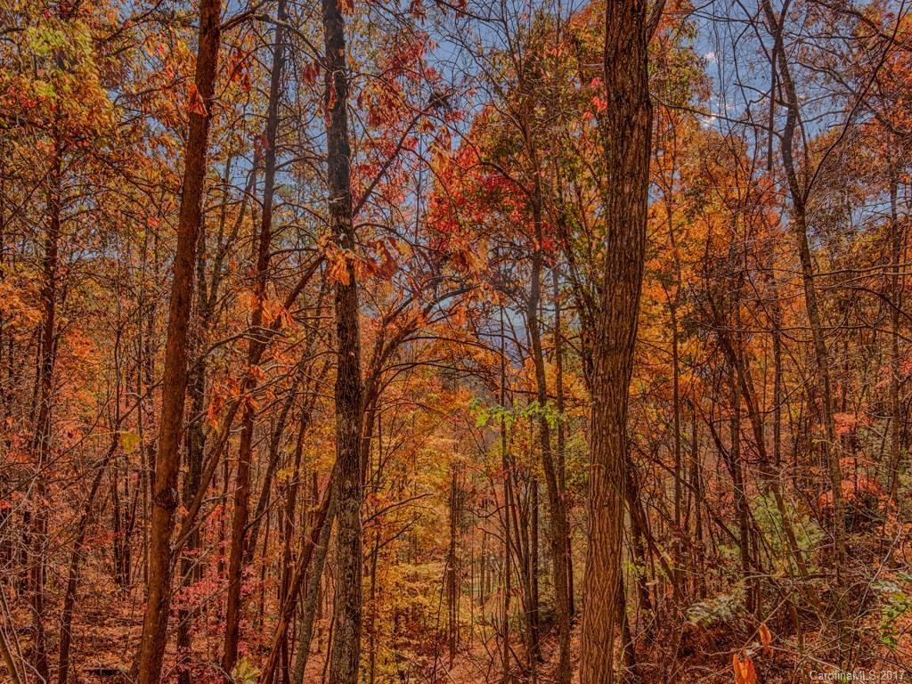 Towhee Ln. #1-6, Waynesville, NC 28786