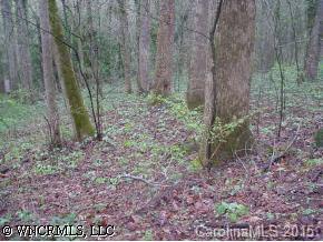 8,22,p23 Bat Cave Manor #8,22+, Bat Cave, NC 28735