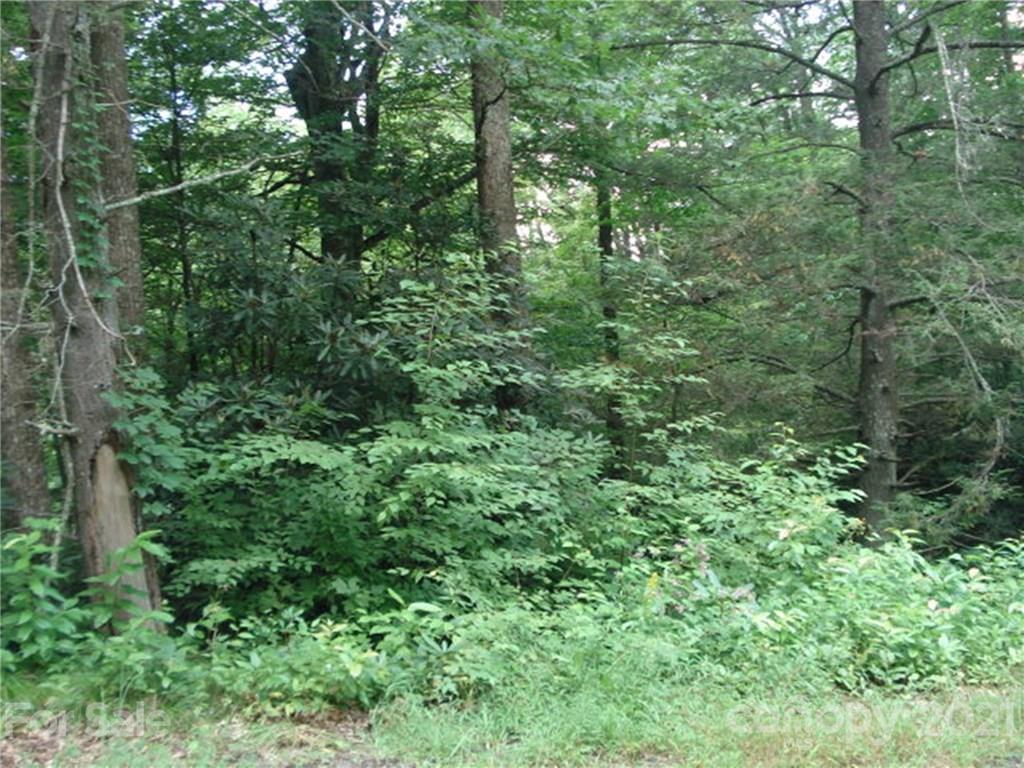 Blue Branch Rd., Burnsville, NC 28714