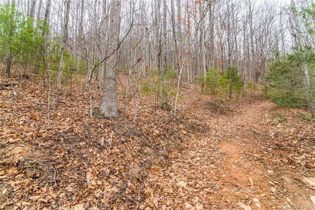 99999 Merrills Cove Rd., Asheville, NC 28803