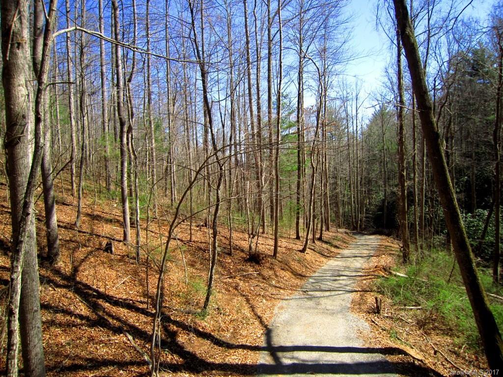 Lot 6 Merrills Cove Rd., Asheville, NC 28803