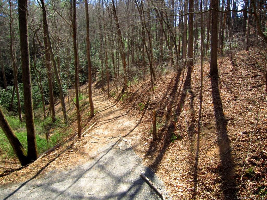 Lot 4 Merrills Cove Rd., Asheville, NC 28803