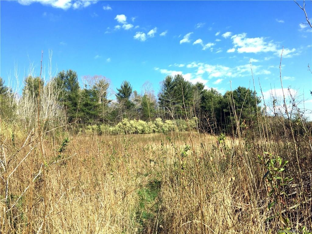 000 N Clear Creek Rd. #1, Hendersonville, NC 28792