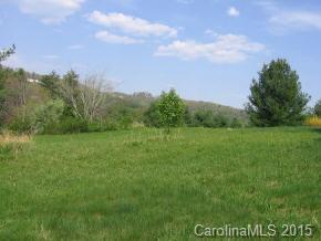 none Big Willow  Patterson, Hendersonville, NC 28739