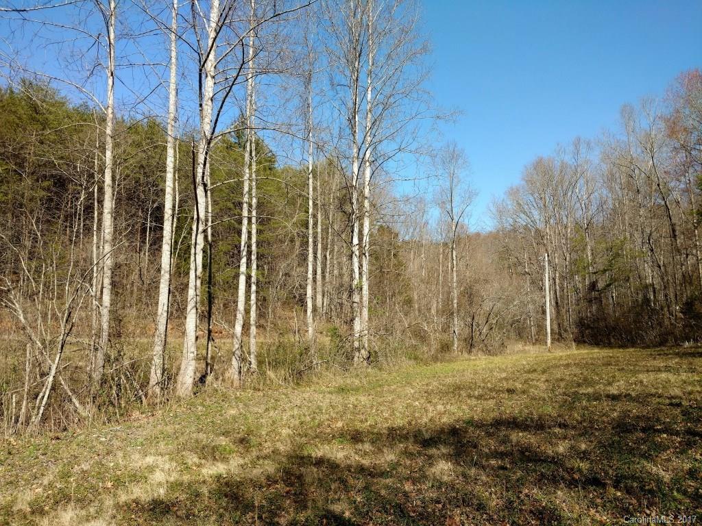000 Lazy Acres Ln., Lake Lure, NC 28319