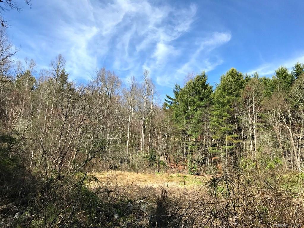 TBD Hawk Ridge Ln., Hendersonville, NC 28739