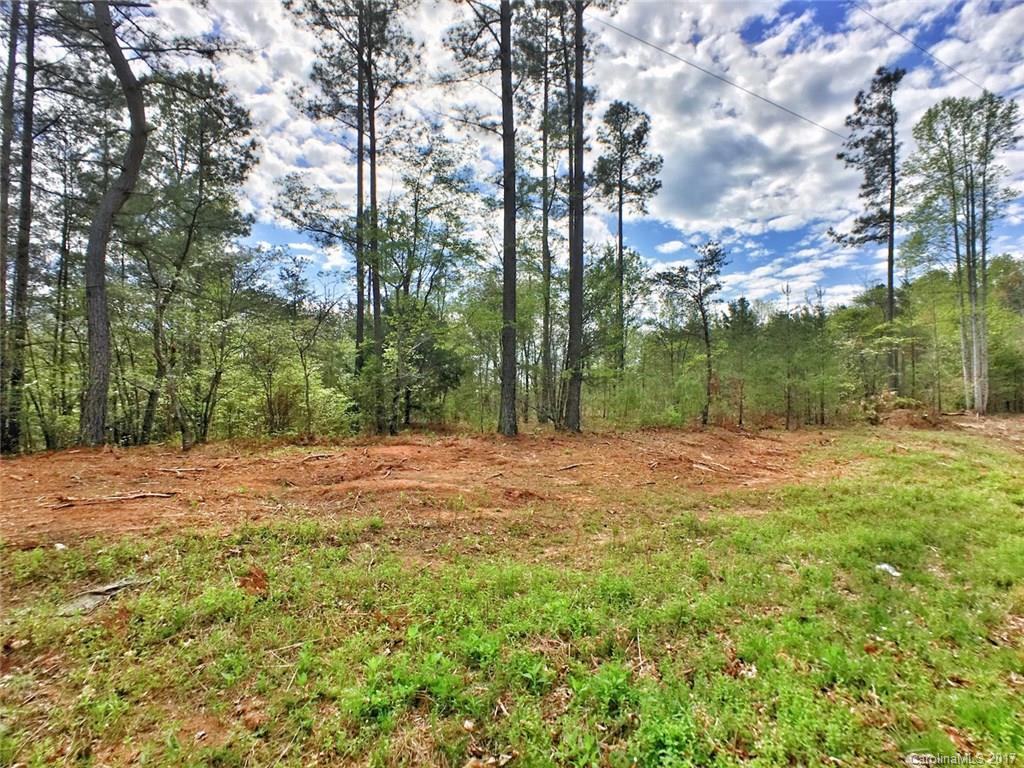 Mountain Creek Rd., Rutherfordton, NC 28139