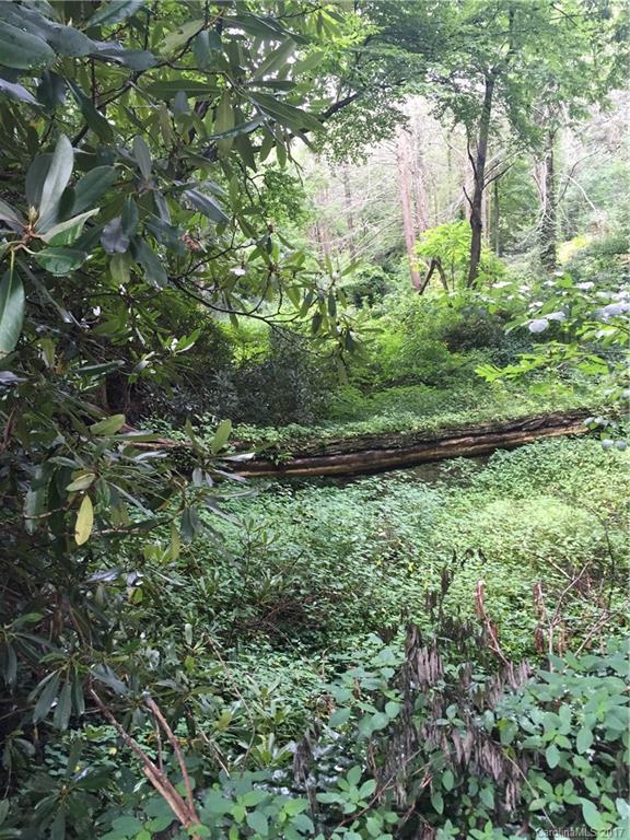 0000 Singlefoot Ln., Waynesville, NC 28786