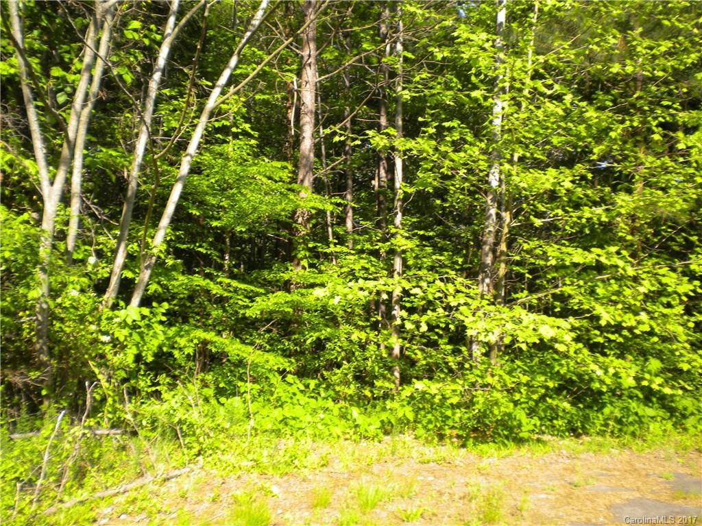 1 Duffy Powell Ln., North Brook, NC 28168