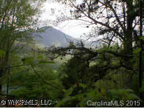 00 Black Oak Cove Road, Candler, NC 28715