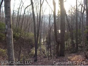 00 Buffalo Shoals Road, Lake Lure, NC 28746
