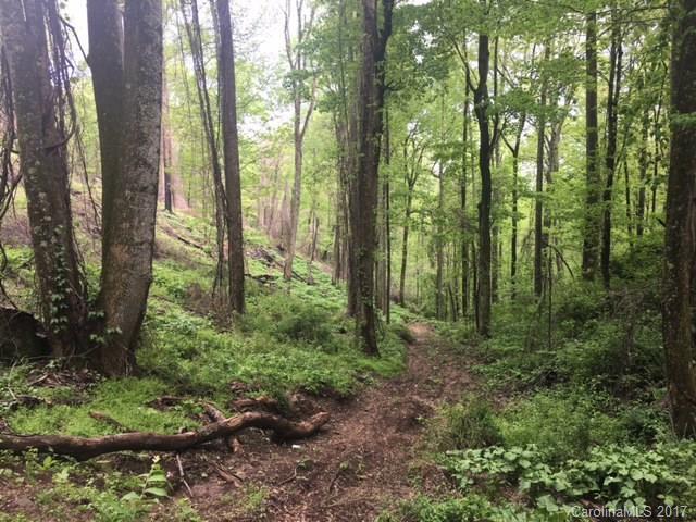 1103 Beechwood Lakes Dr. #SR 1528, Hendersonville, NC 28792