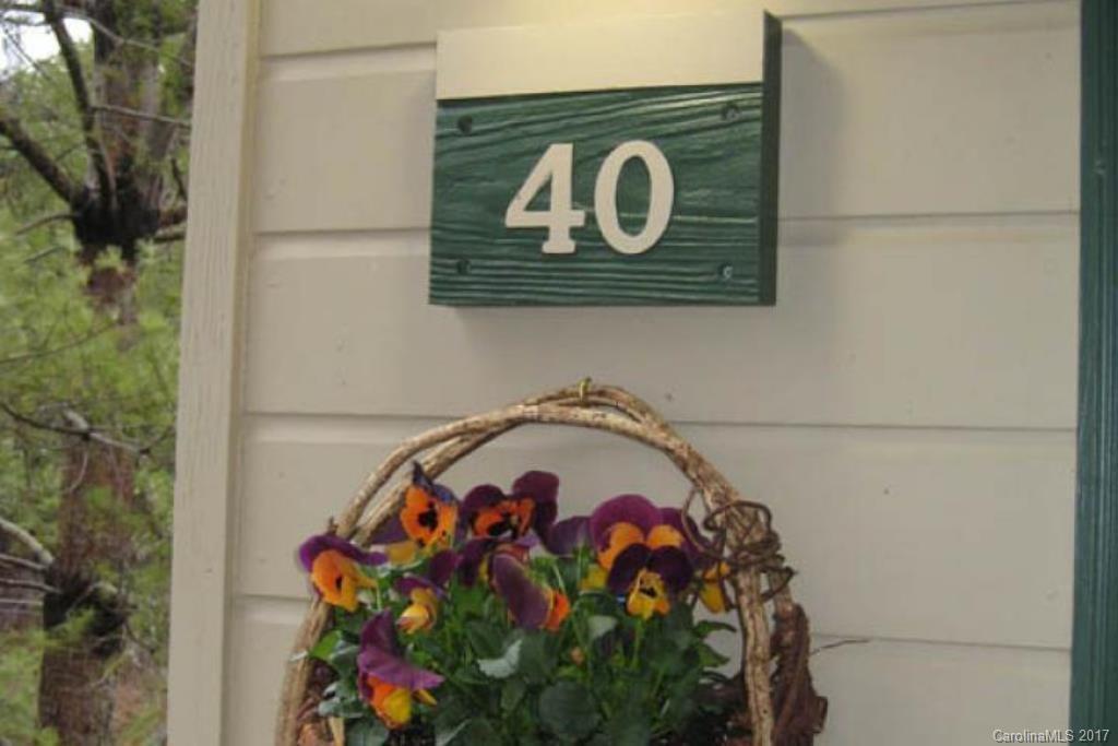 160 Whitney Blvd. #40, Lake Lure, NC 28746