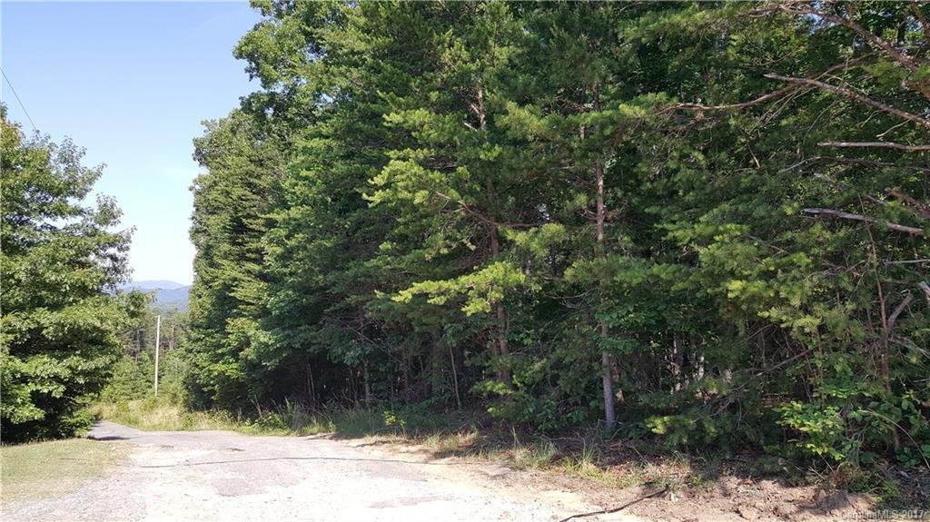 Cove Springs Rd., Rutherfordton, NC 28139