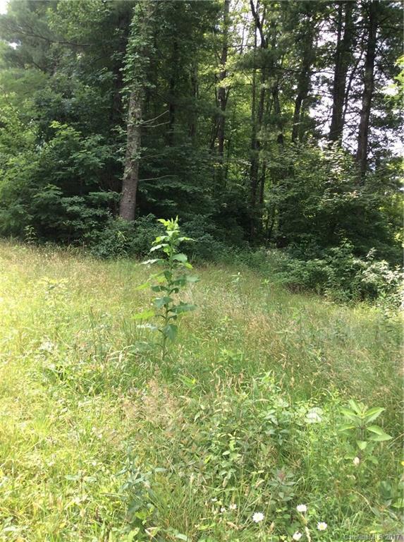 LOT 3 Jim Collins Rd., Hendersonville, NC 28791