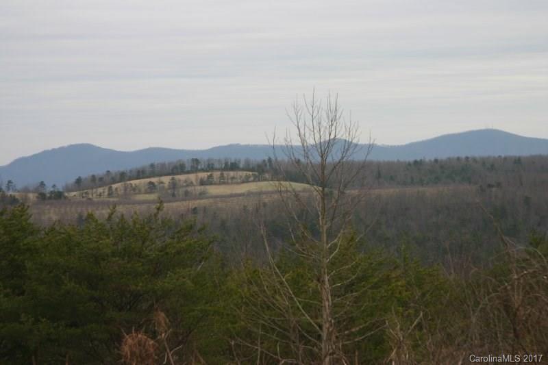 594 Low Gap Rd., Hendersonville, NC 28792