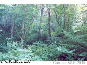 Cook Cove Road, Weaverville, NC 28787