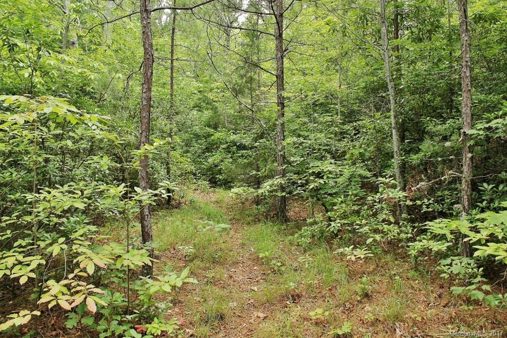 Rockdale Rd., Sylva, NC 28789