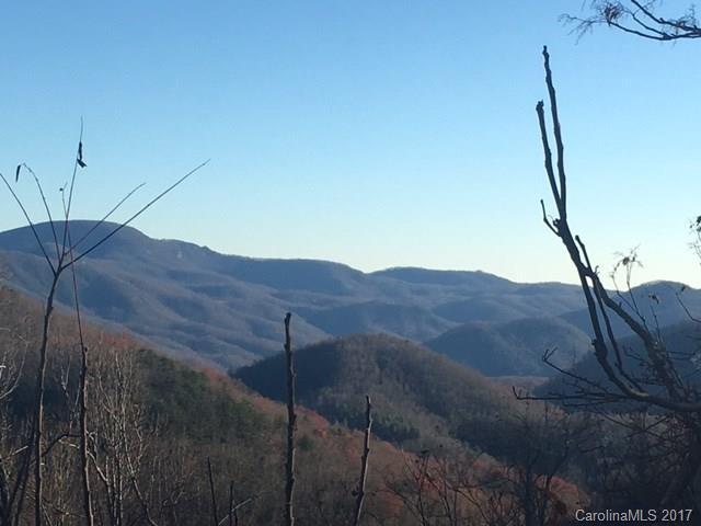 671 Mountain Cove Rd., Hendersonville, NC 28792