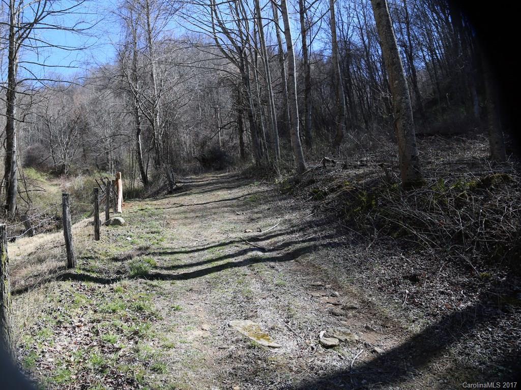 00 Wilson Cove Rd., Canton, NC 28716