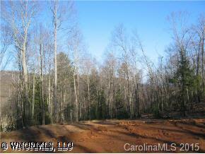 Lot 5 Mcelrath (soapstone), Arden, NC 28704