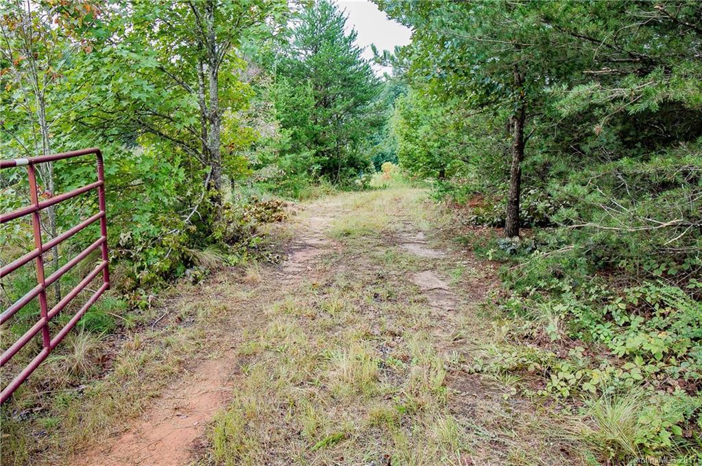 Petite Ct., Rutherfordton, NC 28139