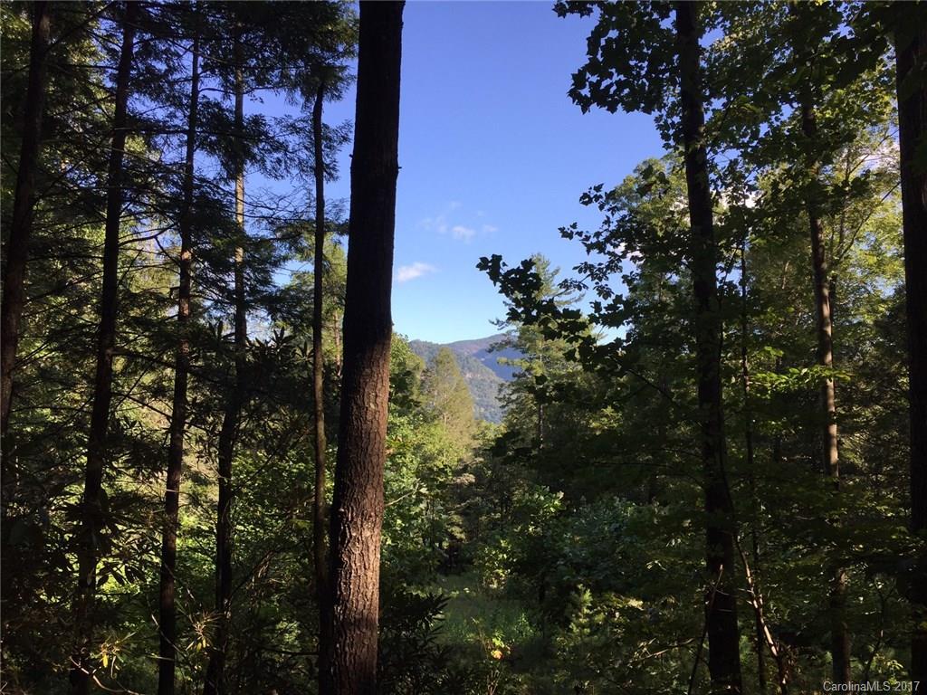 Proctor Rd., Lake Lure, NC 28746