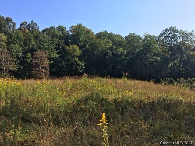 1126 Hortons Creek Rd., Burnsville, NC 28714