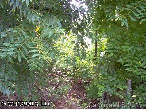 00 Joyner Ave., Asheville, NC 28806